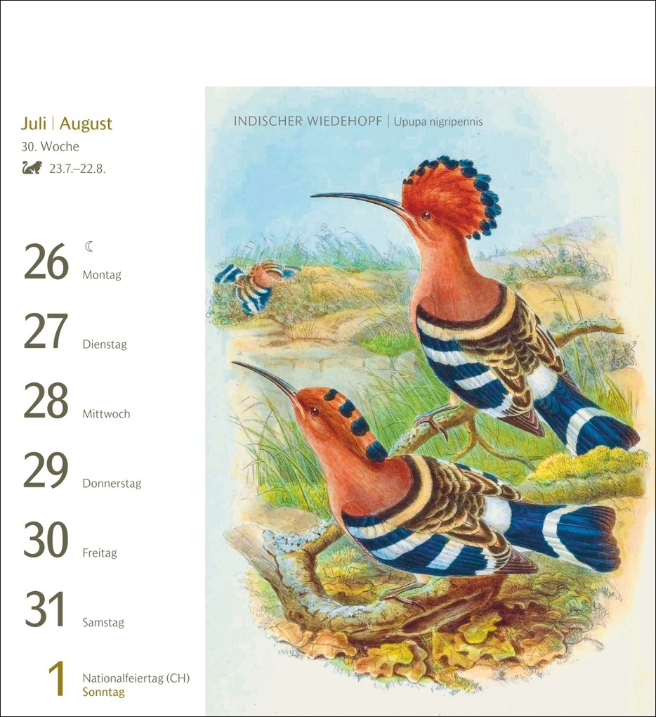 Weitere Ansicht: Vögel Postkartenkalender 2027 - Postkartenkalender mit 53 historischen Zeichnungen