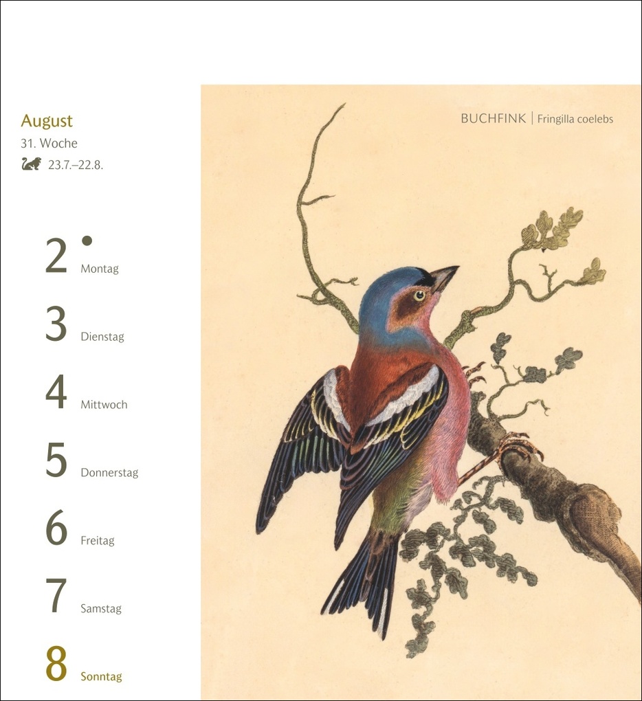 Weitere Ansicht: Vögel Postkartenkalender 2027 - Postkartenkalender mit 53 historischen Zeichnungen