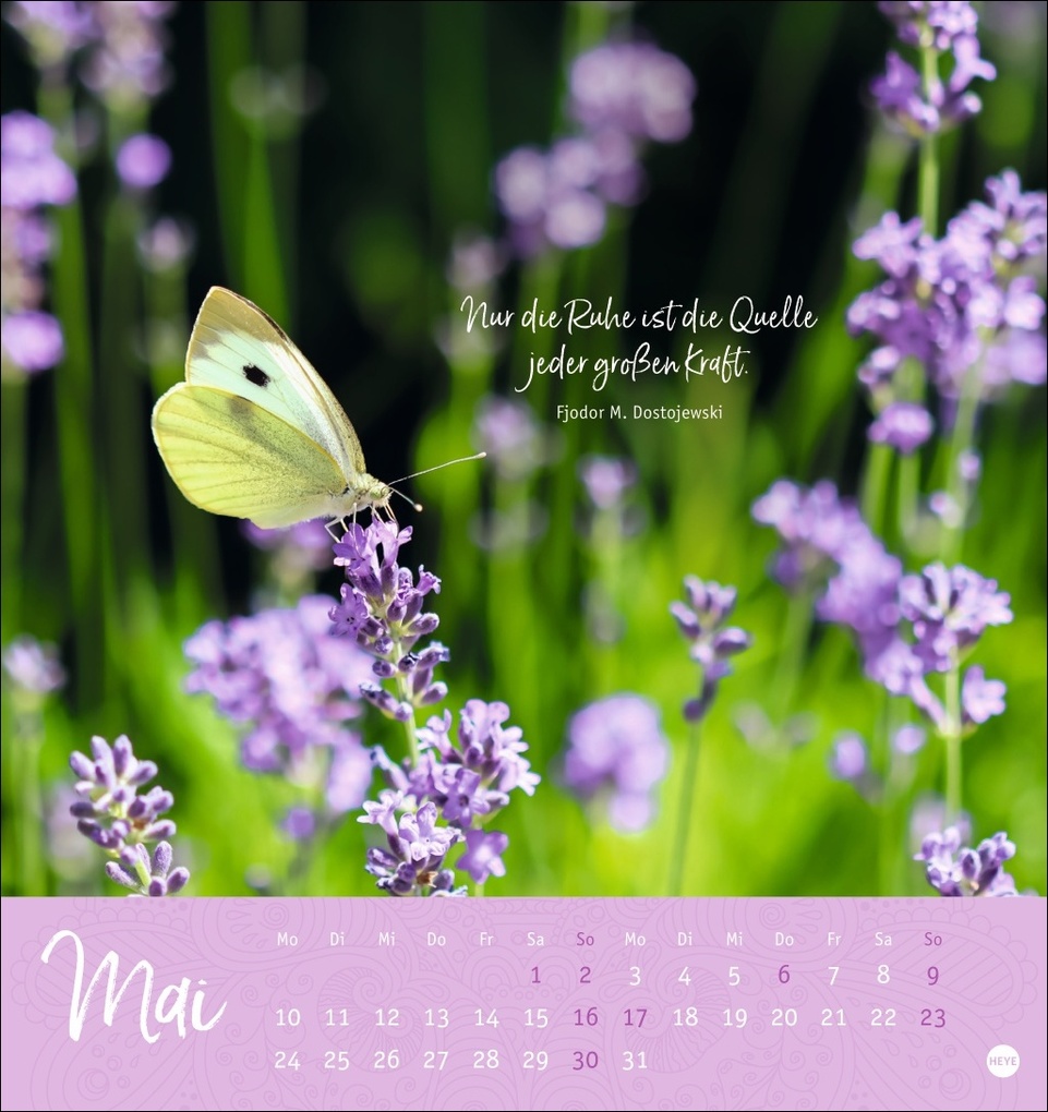 Weitere Ansicht: Stille Momente Postkartenkalender 2027