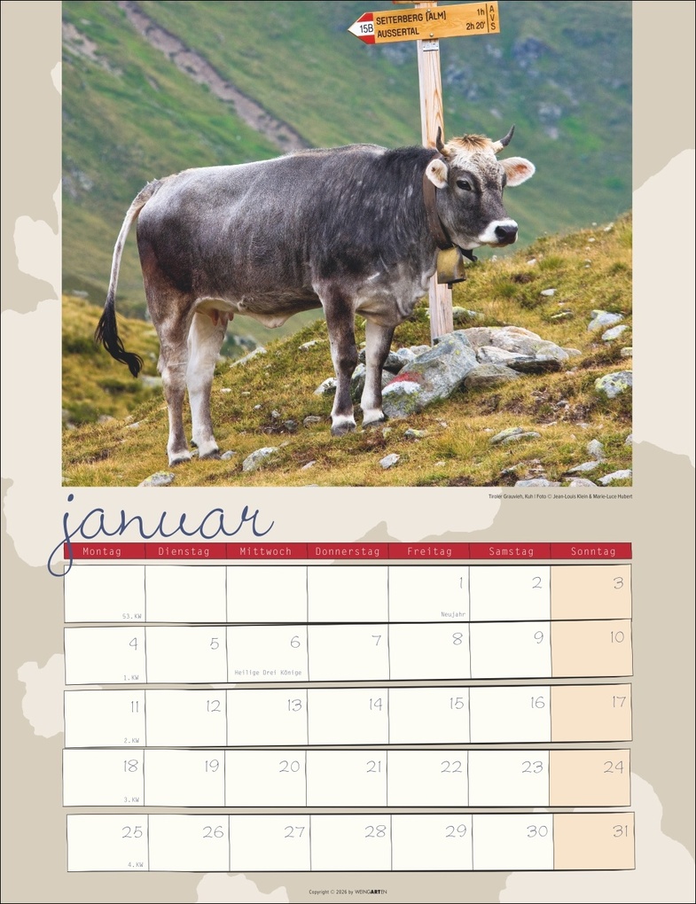 Weitere Ansicht: Kuh Kalender 2027
