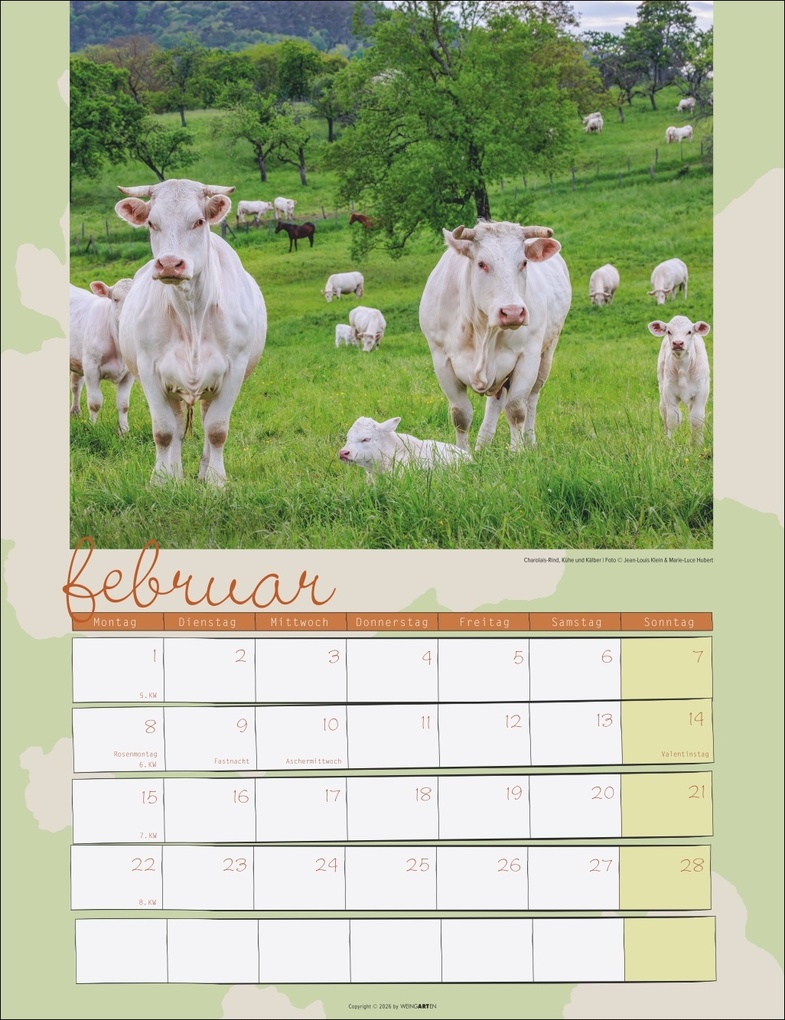 Weitere Ansicht: Kuh Kalender 2027