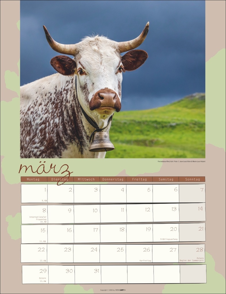 Weitere Ansicht: Kuh Kalender 2027