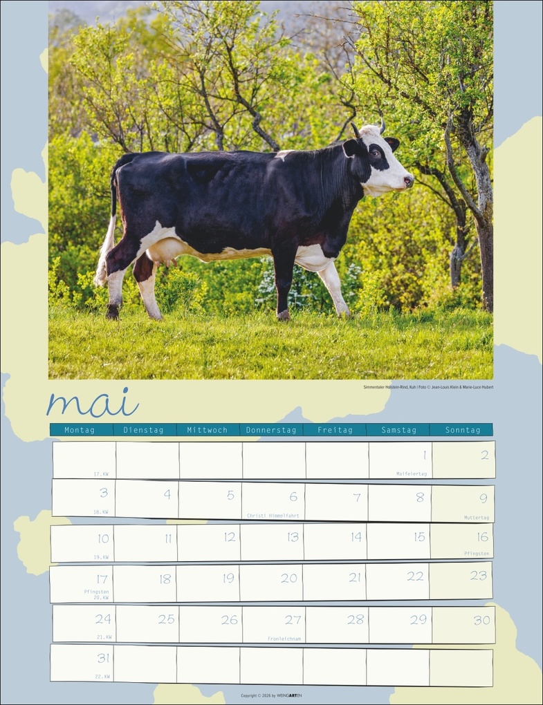Weitere Ansicht: Kuh Kalender 2027