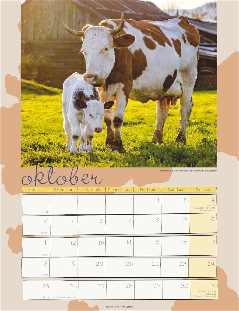 Weitere Ansicht: Kuh Kalender 2027