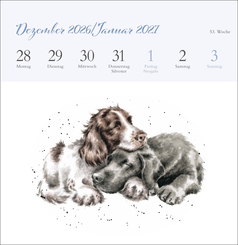 Weitere Ansicht: Hannah Dale: Happy Animals Premium-Postkartenkalender 2027 | Hannah Dale