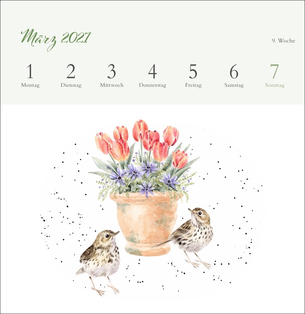 Weitere Ansicht: Hannah Dale: Happy Animals Premium-Postkartenkalender 2027 | Hannah Dale
