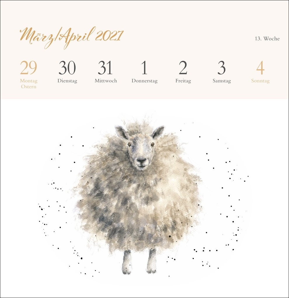 Weitere Ansicht: Hannah Dale: Happy Animals Premium-Postkartenkalender 2027 | Hannah Dale