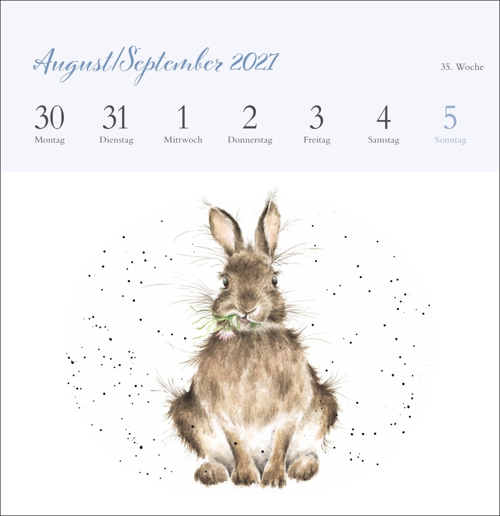 Weitere Ansicht: Hannah Dale: Happy Animals Premium-Postkartenkalender 2027 | Hannah Dale
