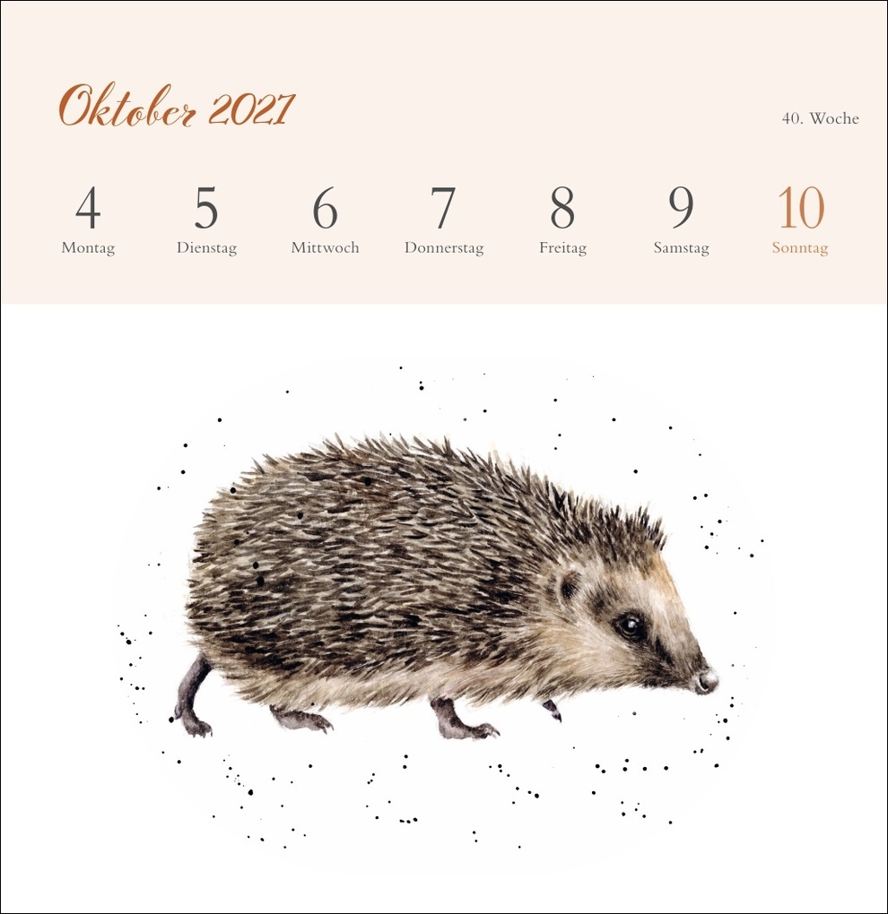 Weitere Ansicht: Hannah Dale: Happy Animals Premium-Postkartenkalender 2027 | Hannah Dale