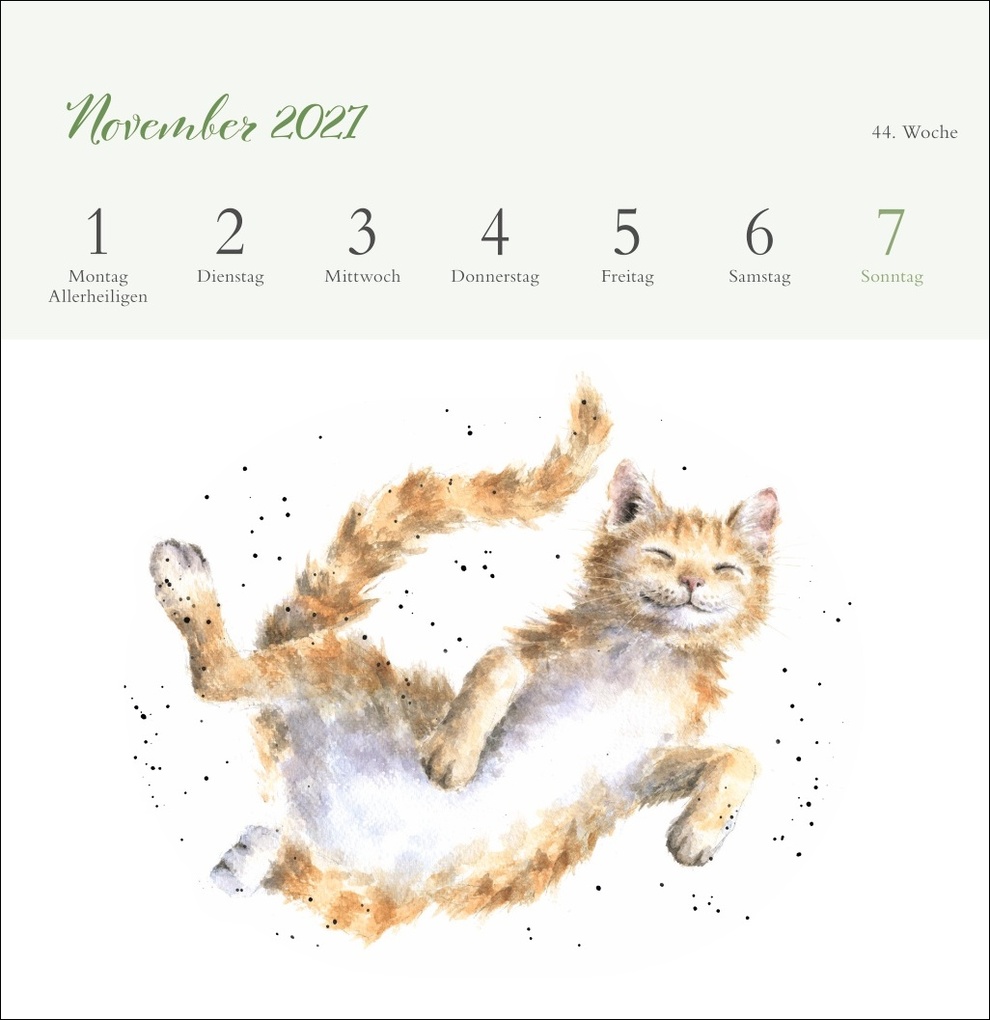 Weitere Ansicht: Hannah Dale: Happy Animals Premium-Postkartenkalender 2027 | Hannah Dale