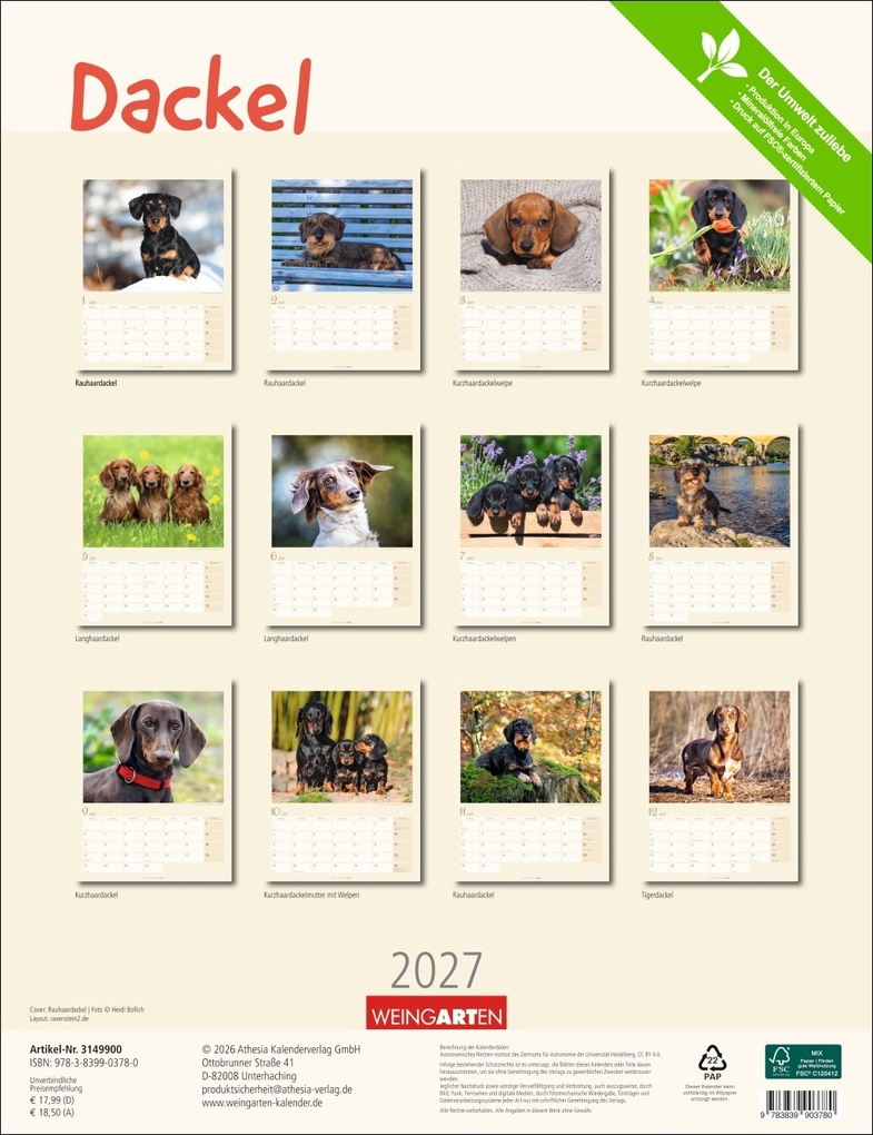 Weitere Ansicht: Dackel Kalender 2027