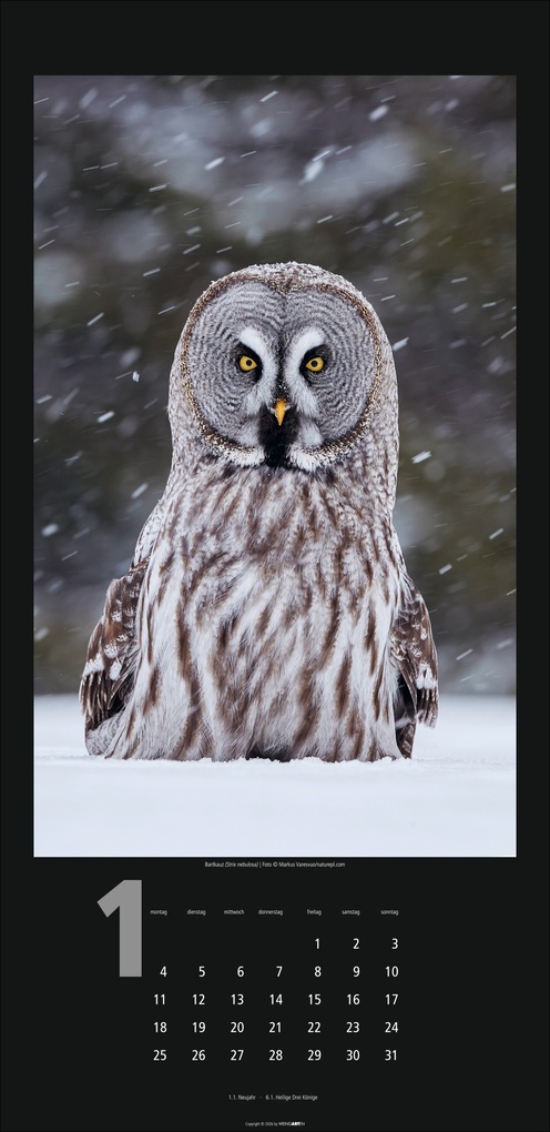Weitere Ansicht: Eulen Kalender 2027