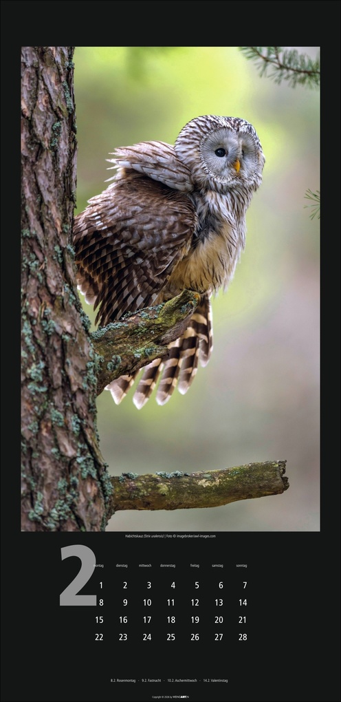 Weitere Ansicht: Eulen Kalender 2027