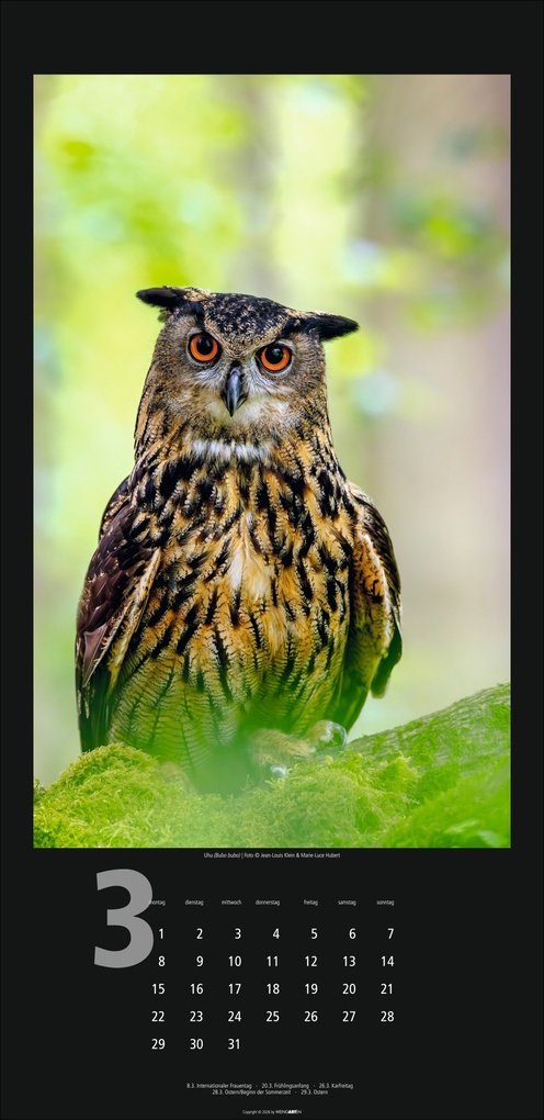 Weitere Ansicht: Eulen Kalender 2027