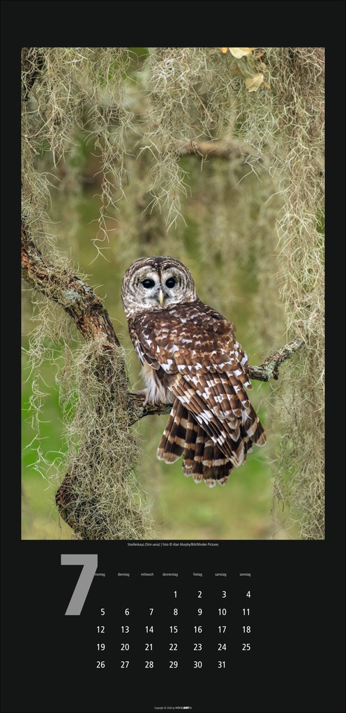 Weitere Ansicht: Eulen Kalender 2027