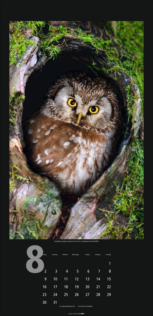 Weitere Ansicht: Eulen Kalender 2027