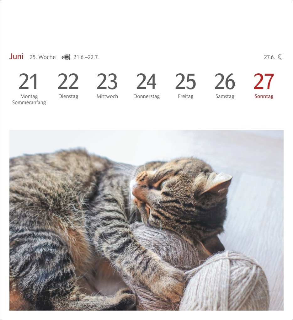 Weitere Ansicht: Katzen Postkartenkalender 2027 - Wochenkalender mit 53 Postkarten
