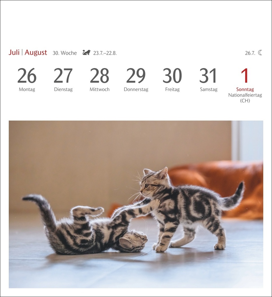 Weitere Ansicht: Katzen Postkartenkalender 2027 - Wochenkalender mit 53 Postkarten