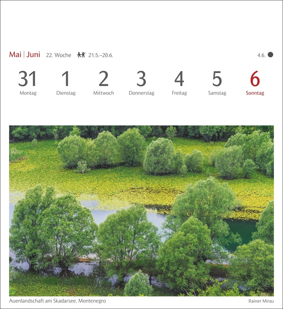 Weitere Ansicht: Bäume Postkartenkalender 2027 - Wochenkalender mit 53 Postkarten