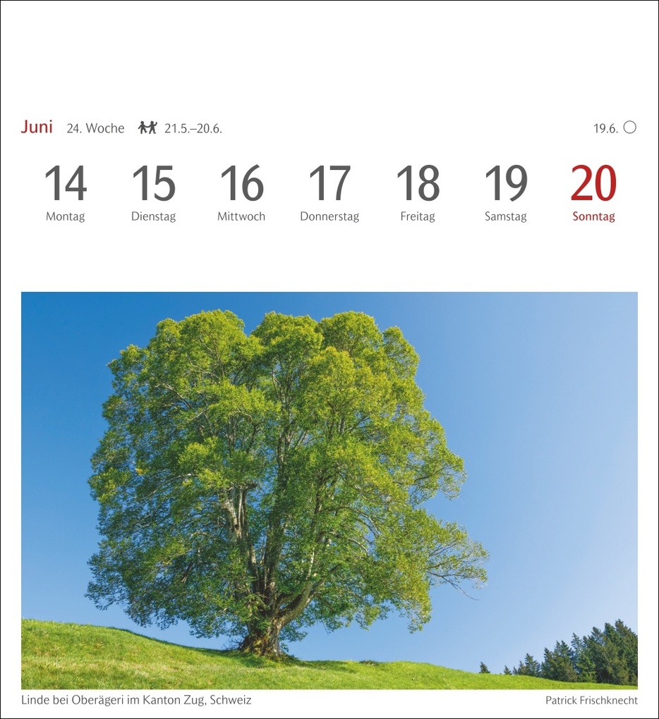 Weitere Ansicht: Bäume Postkartenkalender 2027 - Wochenkalender mit 53 Postkarten