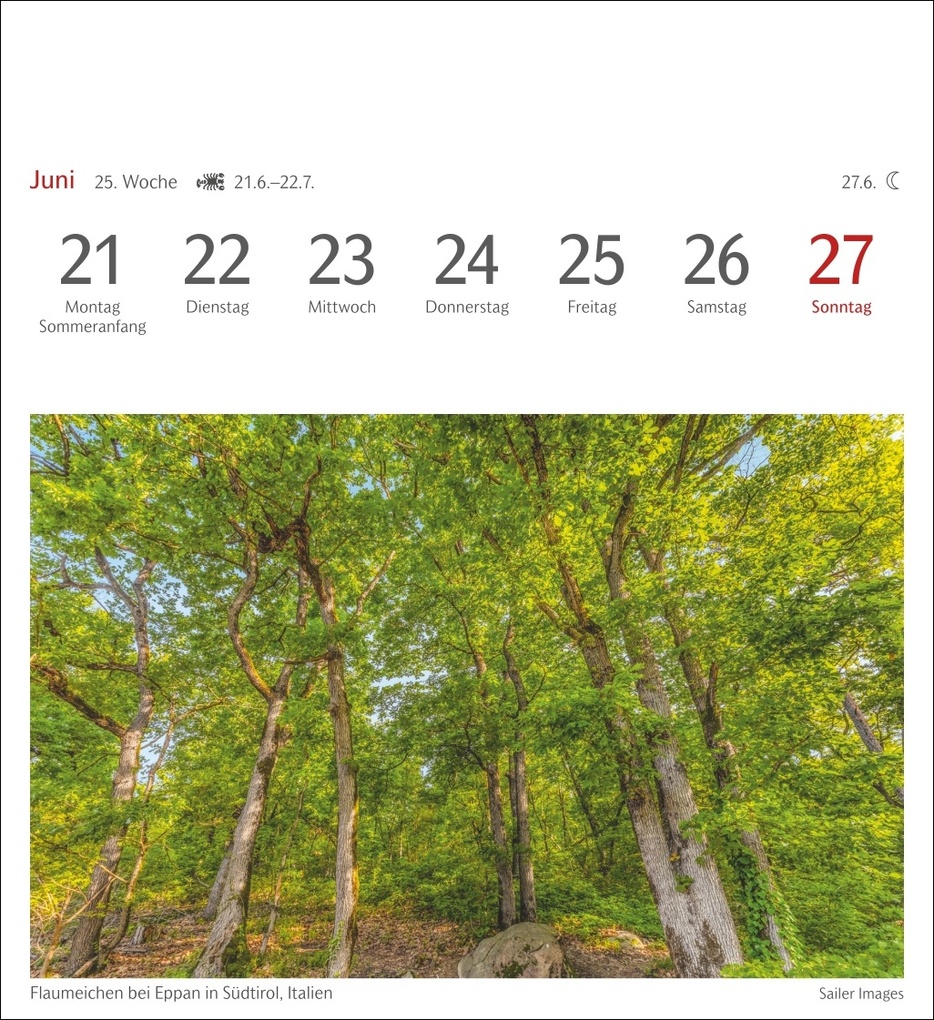 Weitere Ansicht: Bäume Postkartenkalender 2027 - Wochenkalender mit 53 Postkarten