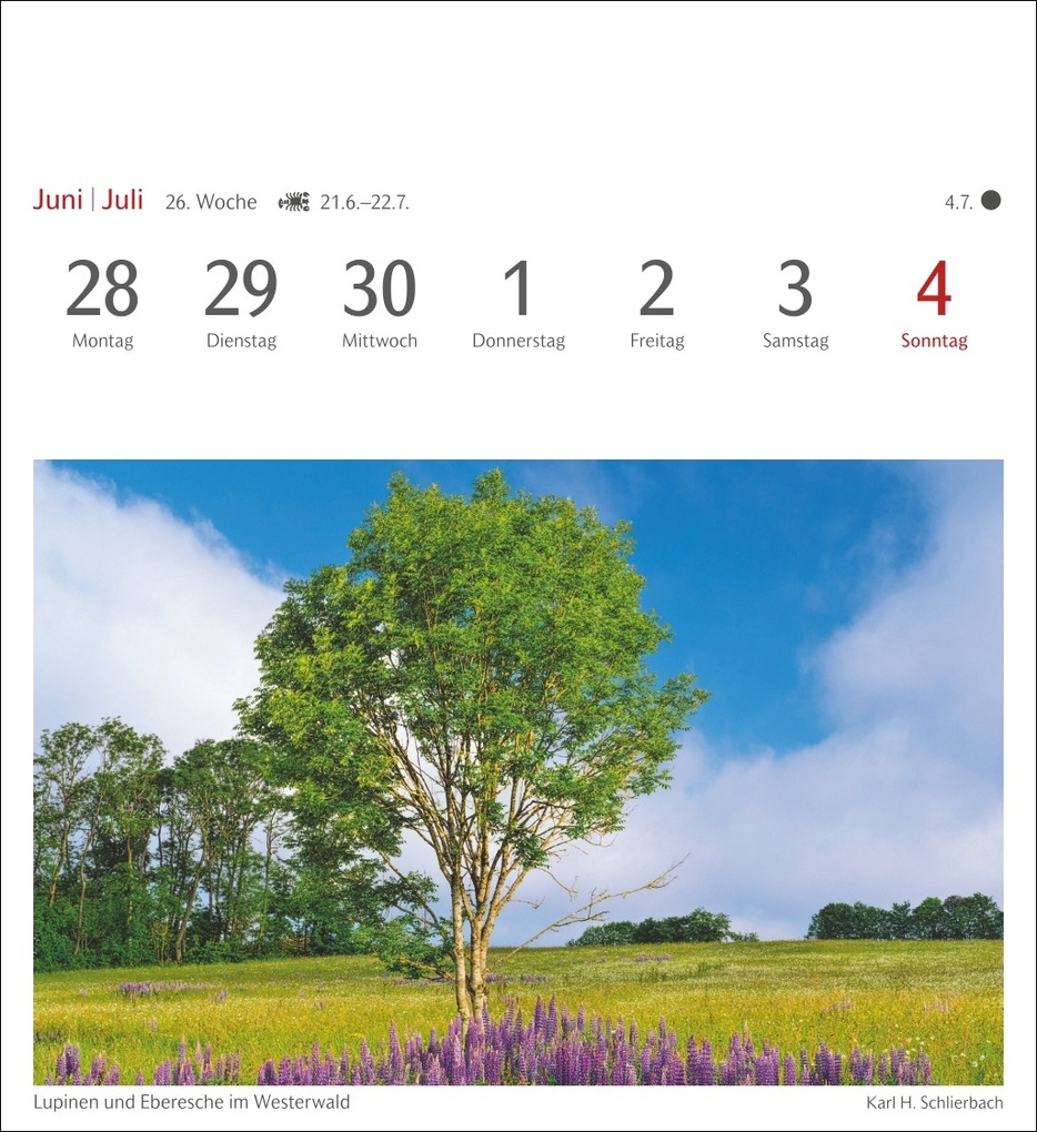 Weitere Ansicht: Bäume Postkartenkalender 2027 - Wochenkalender mit 53 Postkarten