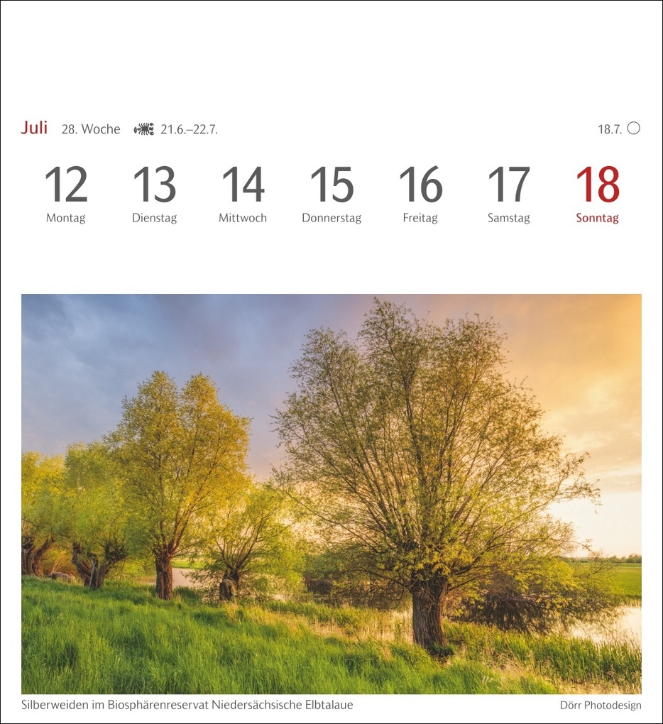 Weitere Ansicht: Bäume Postkartenkalender 2027 - Wochenkalender mit 53 Postkarten