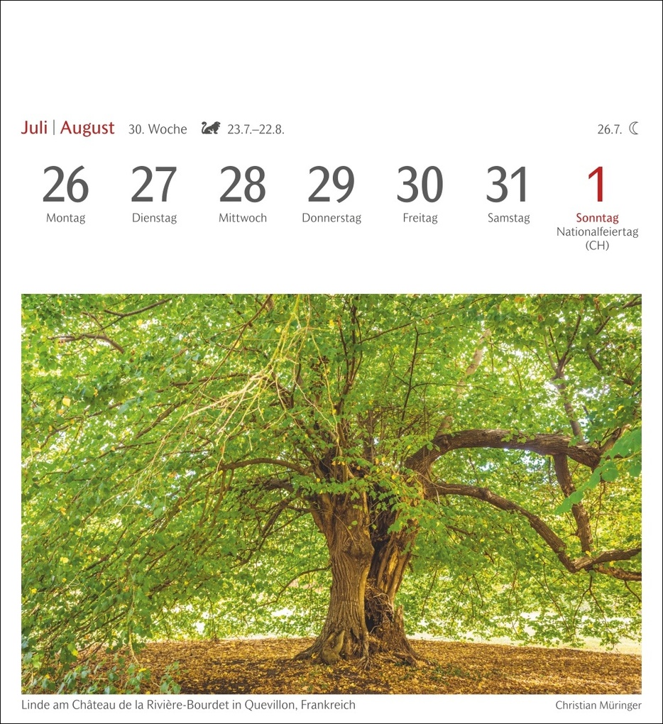 Weitere Ansicht: Bäume Postkartenkalender 2027 - Wochenkalender mit 53 Postkarten