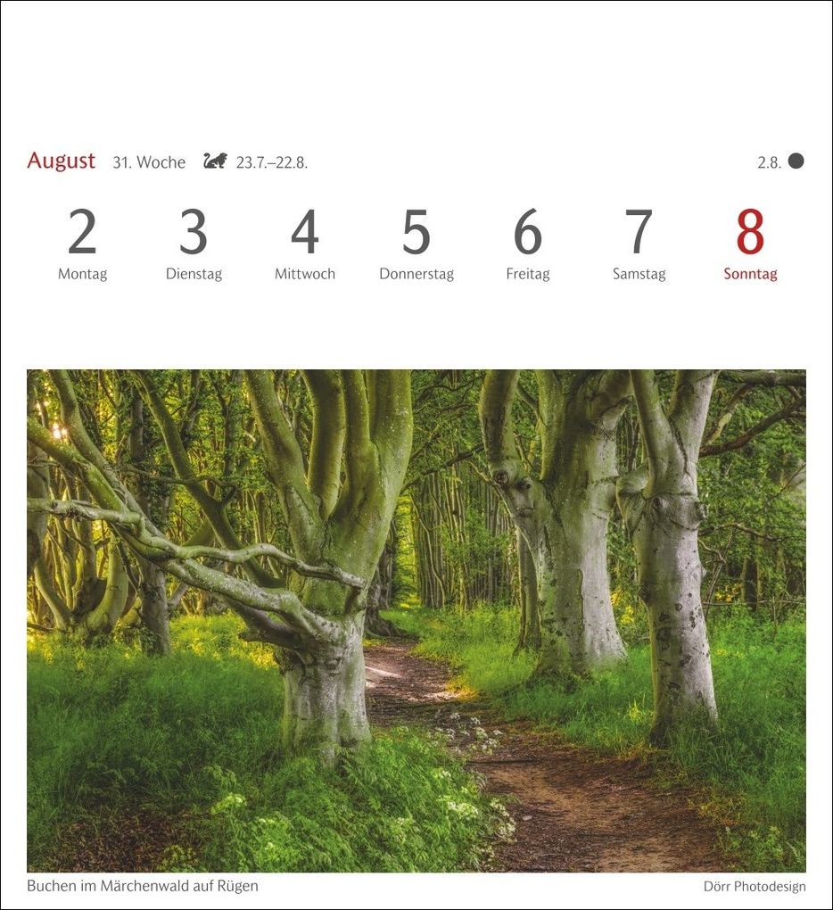 Weitere Ansicht: Bäume Postkartenkalender 2027 - Wochenkalender mit 53 Postkarten