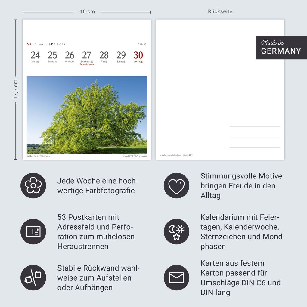 Weitere Ansicht: Bäume Postkartenkalender 2027 - Wochenkalender mit 53 Postkarten