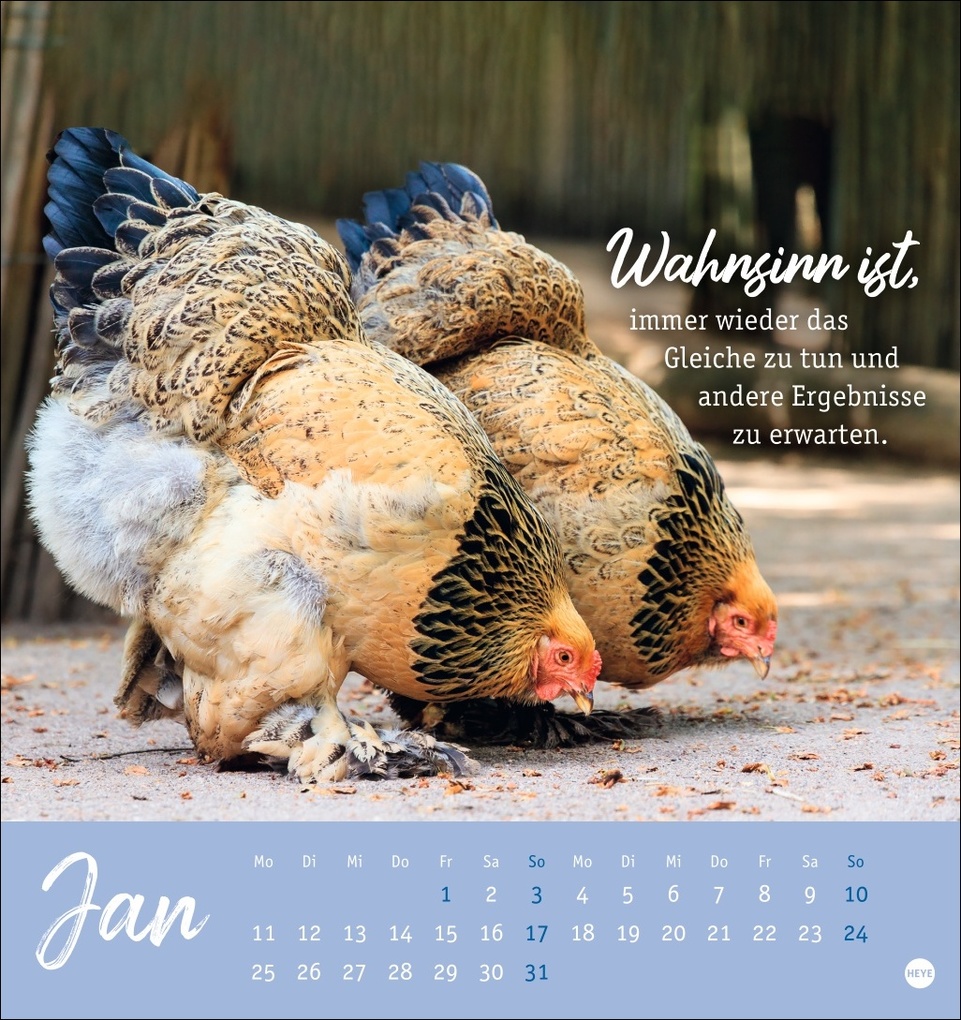 Weitere Ansicht: Hühner Postkartenkalender 2027 - Ach, du verrücktes Huhn!