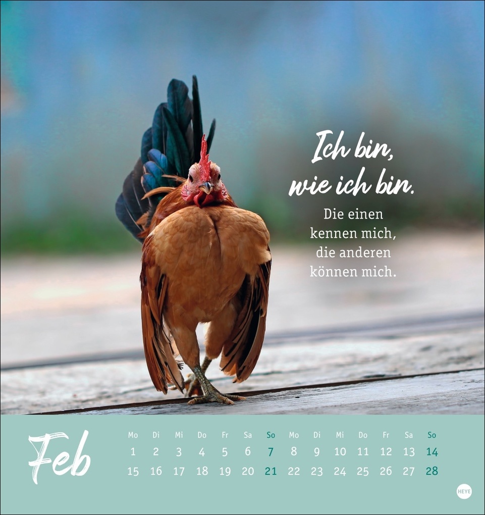 Weitere Ansicht: Hühner Postkartenkalender 2027 - Ach, du verrücktes Huhn!