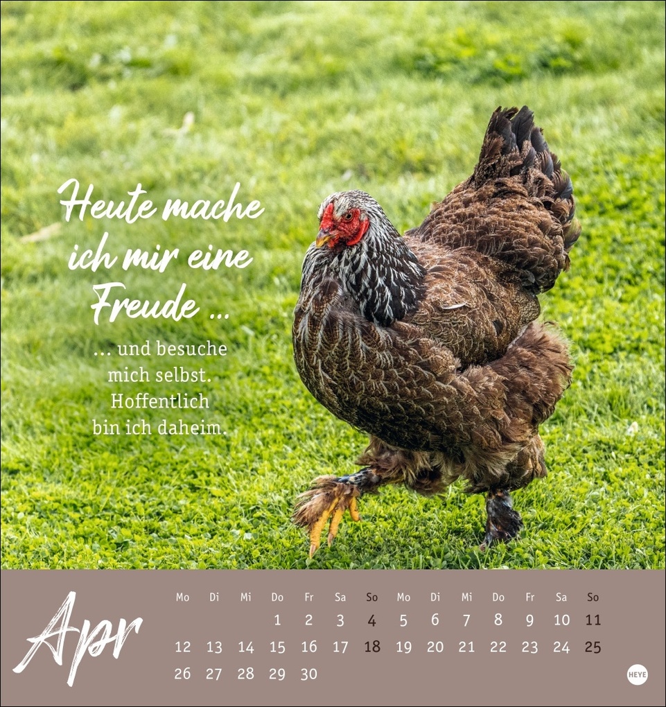Weitere Ansicht: Hühner Postkartenkalender 2027 - Ach, du verrücktes Huhn!