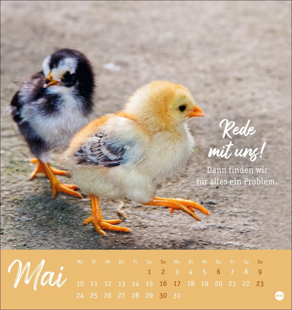 Weitere Ansicht: Hühner Postkartenkalender 2027 - Ach, du verrücktes Huhn!