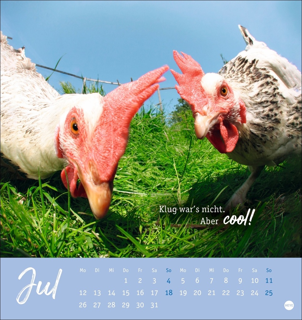 Weitere Ansicht: Hühner Postkartenkalender 2027 - Ach, du verrücktes Huhn!