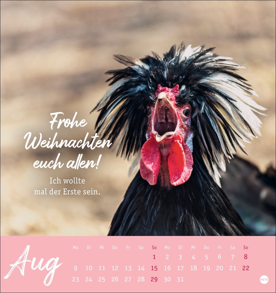 Weitere Ansicht: Hühner Postkartenkalender 2027 - Ach, du verrücktes Huhn!