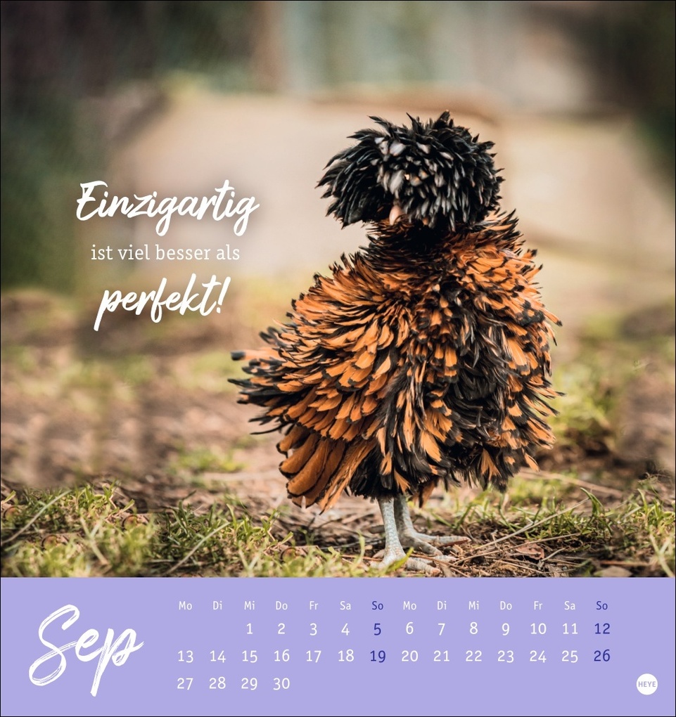 Weitere Ansicht: Hühner Postkartenkalender 2027 - Ach, du verrücktes Huhn!