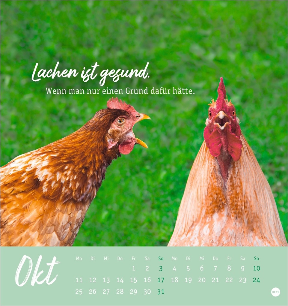 Weitere Ansicht: Hühner Postkartenkalender 2027 - Ach, du verrücktes Huhn!