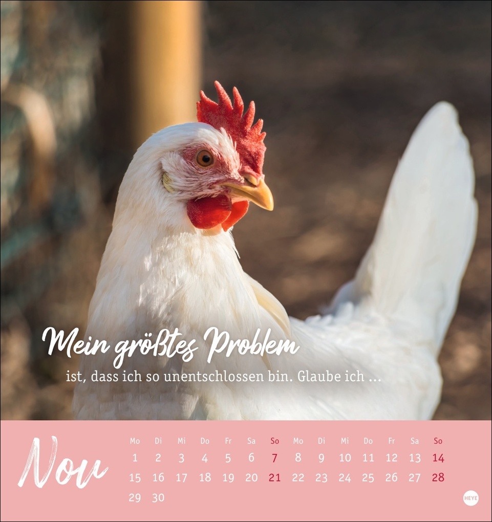 Weitere Ansicht: Hühner Postkartenkalender 2027 - Ach, du verrücktes Huhn!