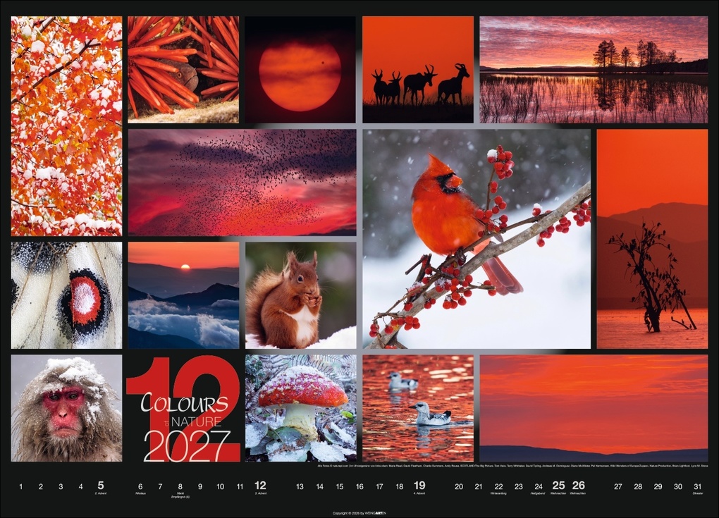 Weitere Ansicht: Colours of Nature Kalender 2027
