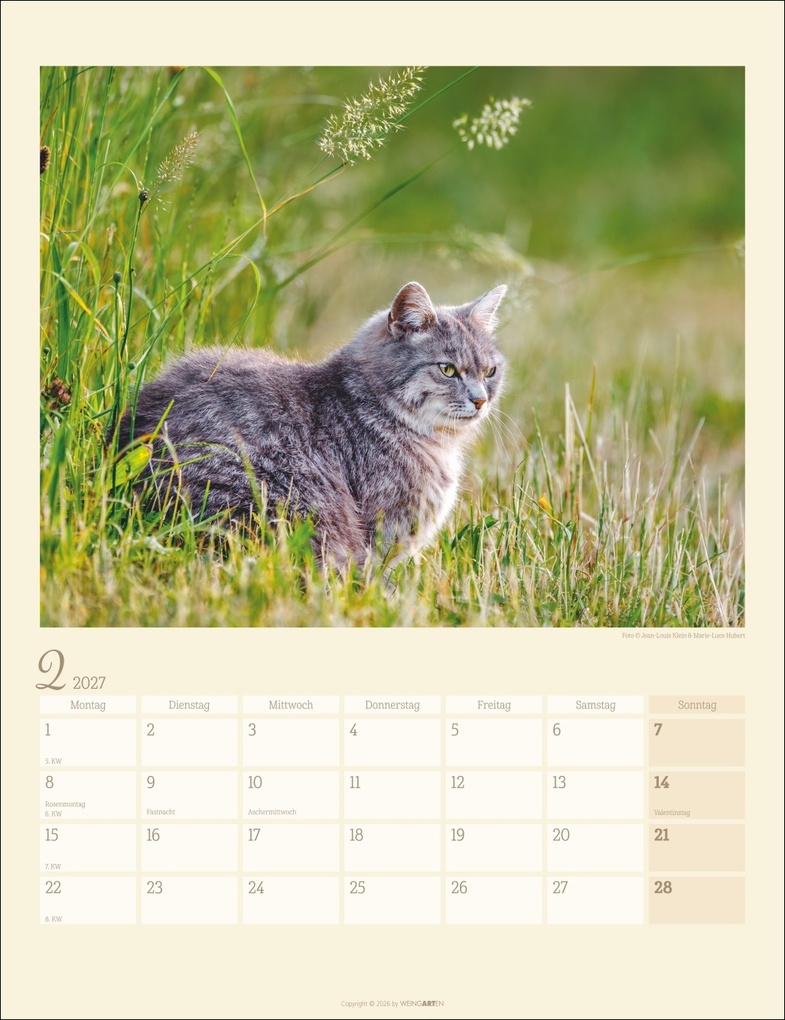 Weitere Ansicht: Katzen auf dem Lande Kalender 2027