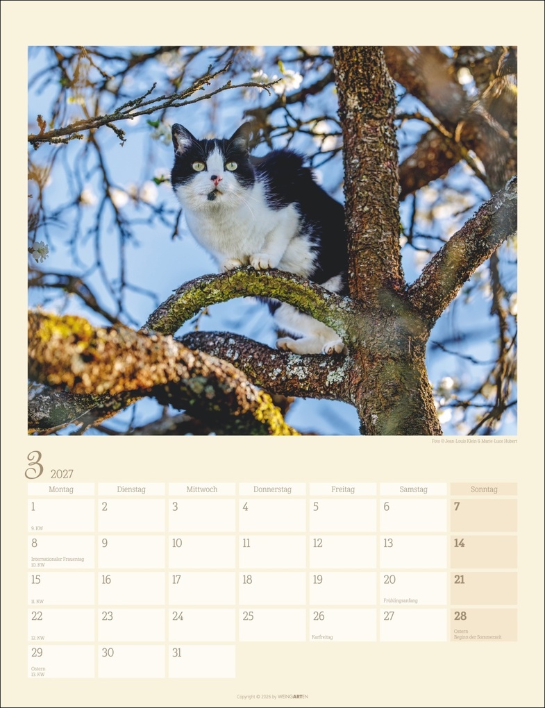 Weitere Ansicht: Katzen auf dem Lande Kalender 2027