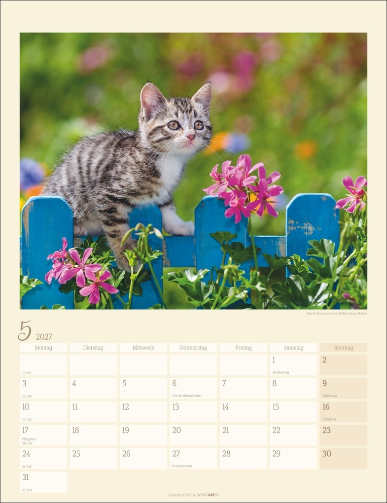 Weitere Ansicht: Katzen auf dem Lande Kalender 2027