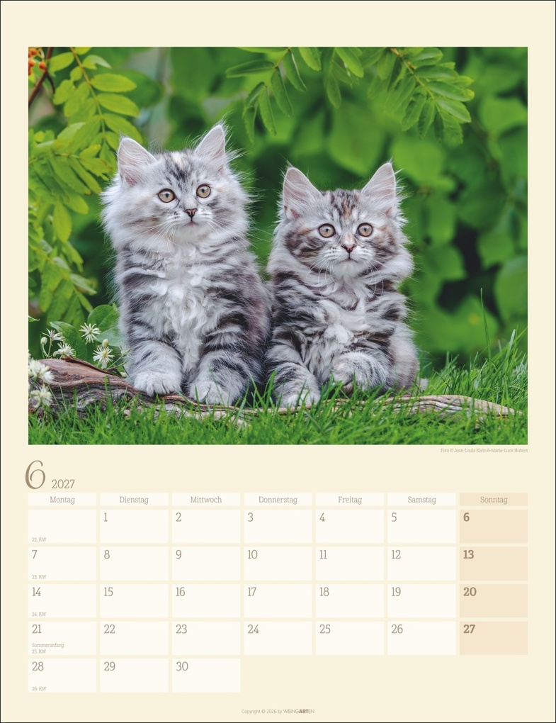 Weitere Ansicht: Katzen auf dem Lande Kalender 2027