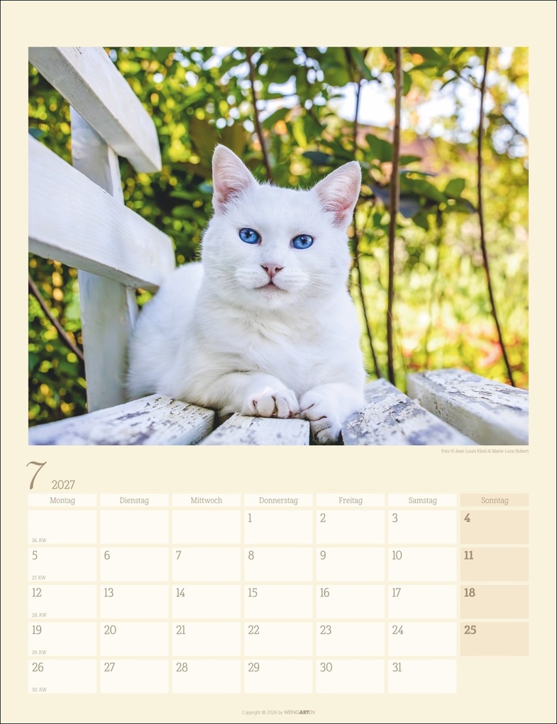 Weitere Ansicht: Katzen auf dem Lande Kalender 2027