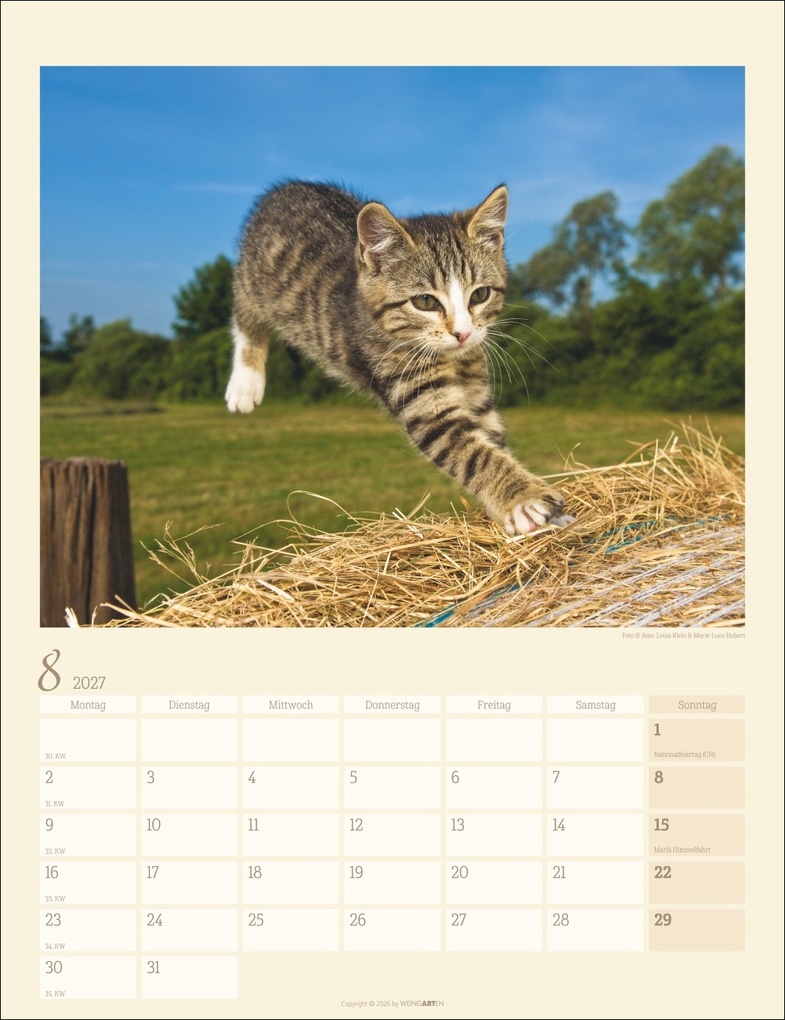 Weitere Ansicht: Katzen auf dem Lande Kalender 2027