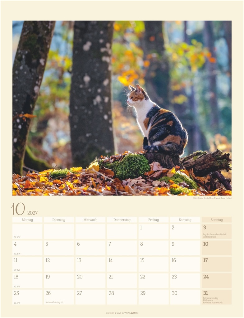 Weitere Ansicht: Katzen auf dem Lande Kalender 2027