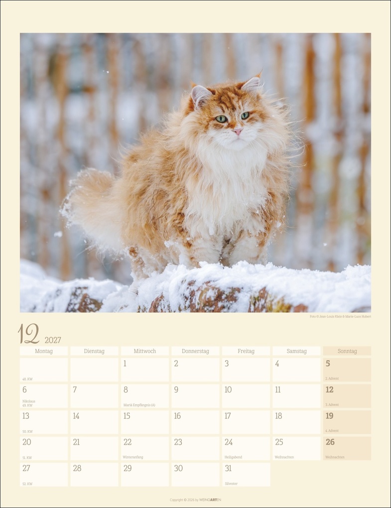 Weitere Ansicht: Katzen auf dem Lande Kalender 2027