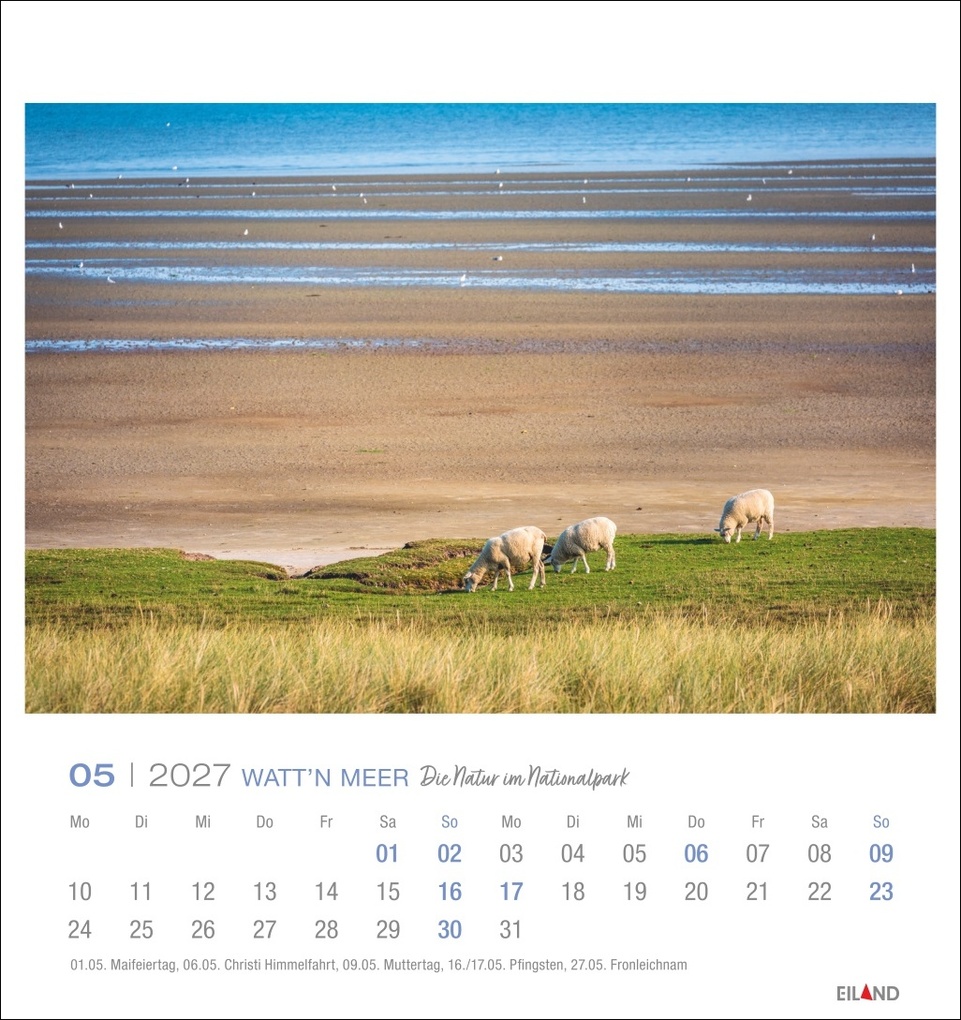 Weitere Ansicht: Watt'n Meer Postkartenkalender 2027 - Die Natur im Nationalpark