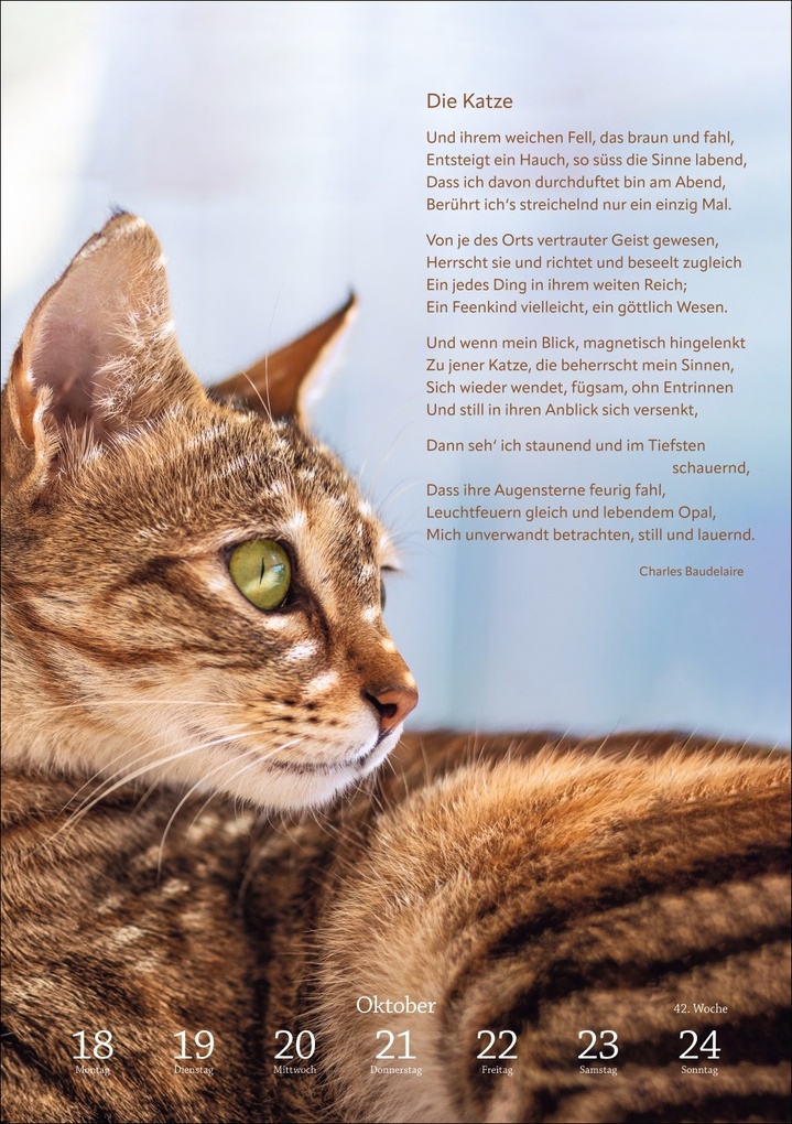 Weitere Ansicht: Literaturkalender Katzen Wochen-Kulturkalender 2027